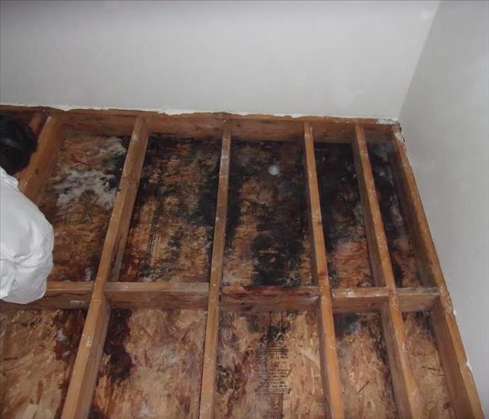 mold in mobile home floor from damaged mobile home vapor barrier